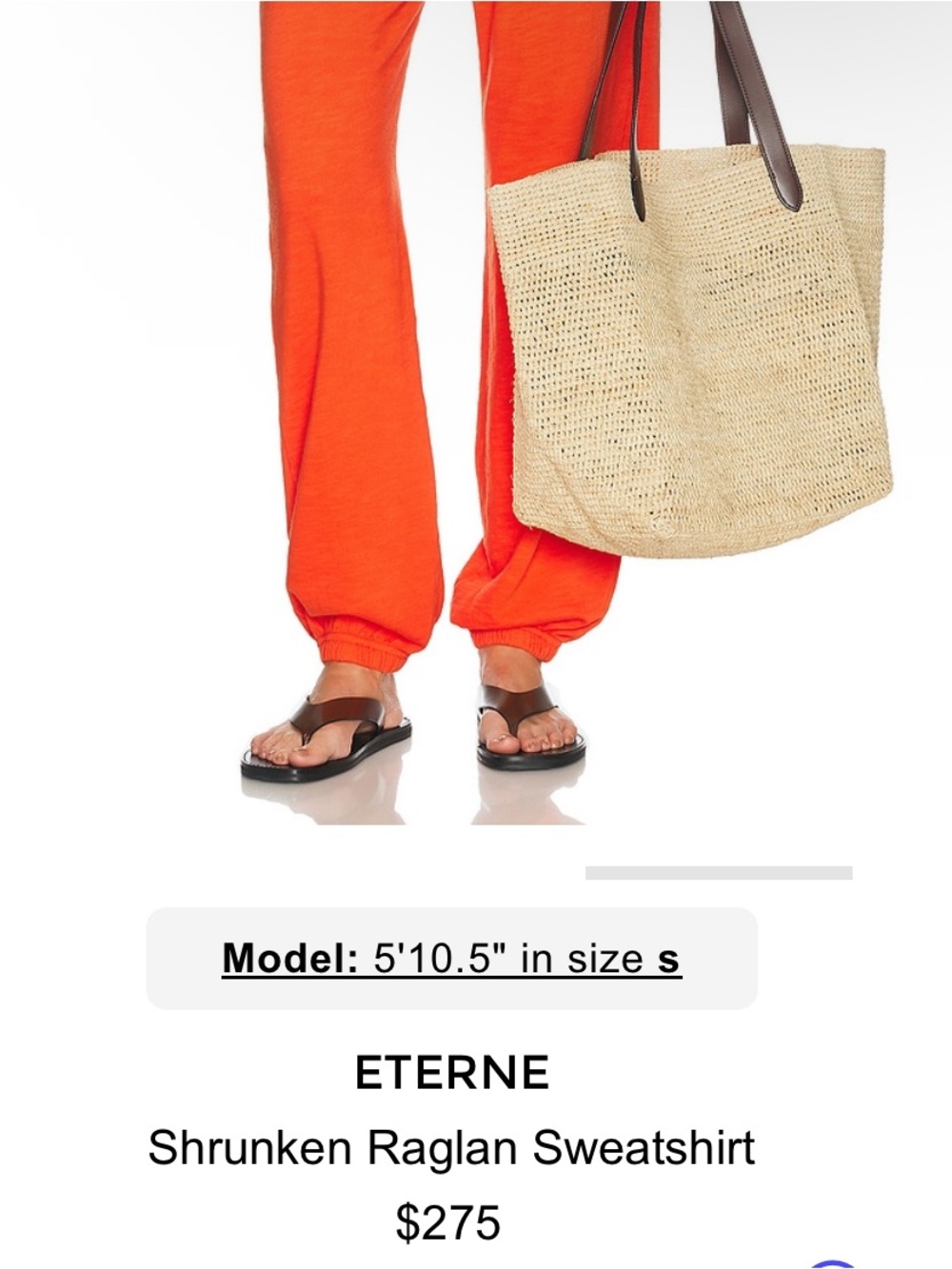 Eterne Raglan Sweatshirt - Picture 9 of 13